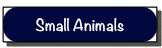 Small Animals